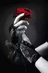 PrInC_ShiVa_COOL