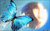 anny236