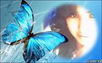 anny236
