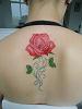 Estela_THEBES