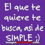 vane15