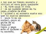 jose48