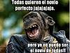 _VILLE_VALO