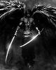 blackwarrior
