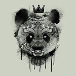 __PaNdA__