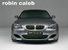 Robin_caleb