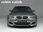 Robin_caleb