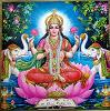 VenuS_Maat
