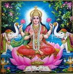 VenuS_Maat