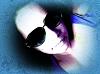 Helena_D_Cobr