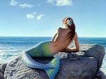 sirena48