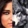 Loba_Alpha_