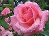 _thalia_22