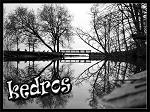 Kedros