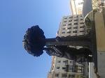 albert10sp