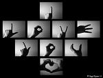 lCrazyGirl