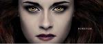 Bela_Swan