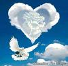 flor0del0amor