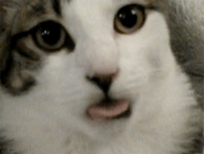 _JaN_