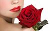 Passion_Sauva