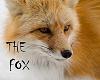TheFox77