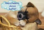 XxMarAzulxX