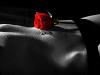 divina_passio