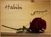 Habibi_HalCoN