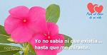 AhinoaGzlez