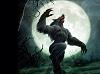 black_wolf_73