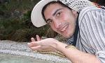 Alce