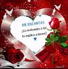 AMARAL_7