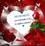 AMARAL_7