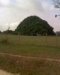 Albertohermoso