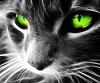 Gisel