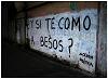 pisco1146