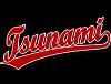 Grupo_Tsunami