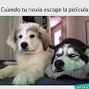 ANAIS_UNICA