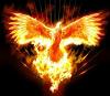 Firon