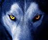 WolfB