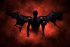 X_FENIX_Reis