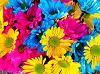 Sweet_Wish