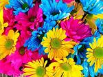 Sweet_Wish