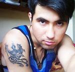 mcFeniX