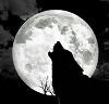 _LyCaN_