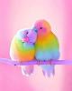 Charlotte_Bor