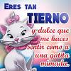 Gatita71