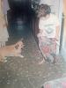 vicent_ever