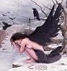XxLoReNa_CroW