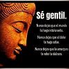 A_pelusiita_A